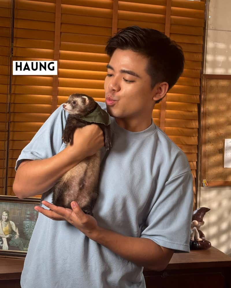 Artist Haung