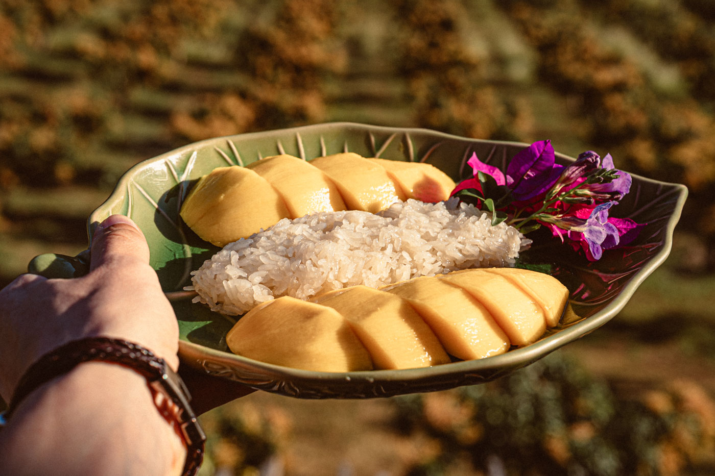 Khao Yai Mango House Farm photoshoot