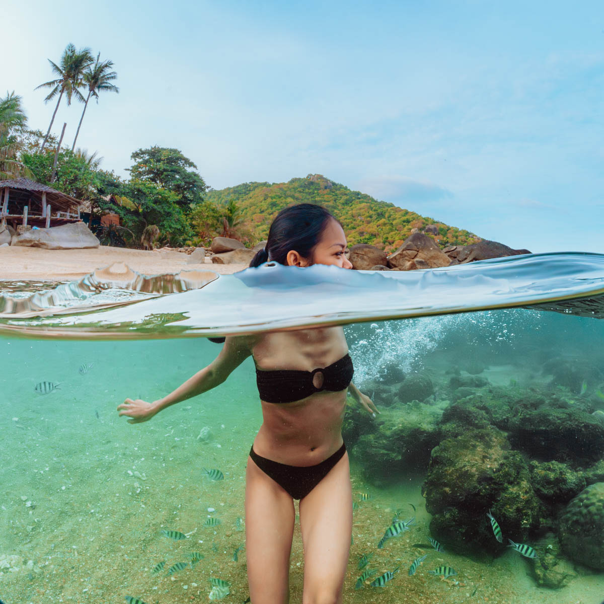 Underwater photography Koh Tao